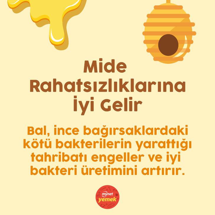 Balın Faydaları Nelerdir? G2