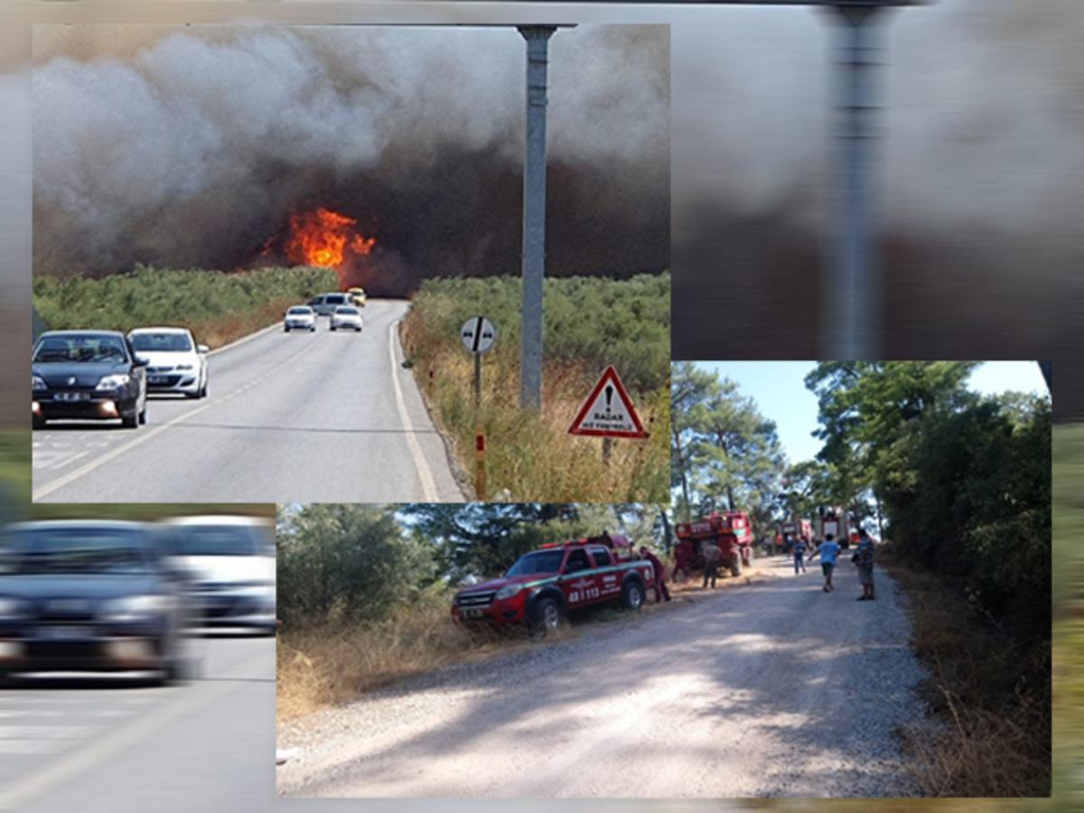 Edremit ve Marmaris'te orman yangını