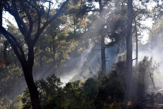 Marmaris'te aynı yerde 3'üncü orman yangını