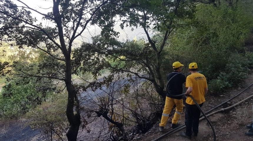 Dursunbey’de orman yangını