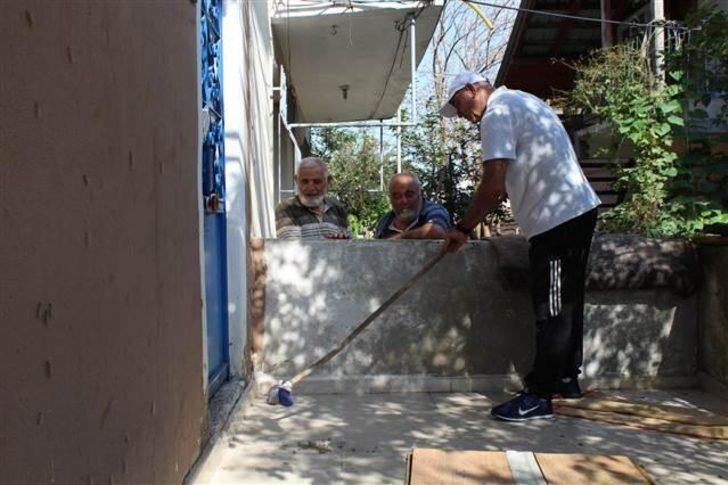 Her yeri istila ettiler! Sayıları her yıl artıyor: Taşınmak zorunda kaldı G3