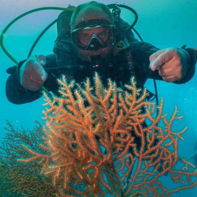 (&Ouml;zel) Kızıl mercanlardan sonra sarı mercanlar da b&uuml;y&uuml;k ilgi &ccedil;ekiyor 2