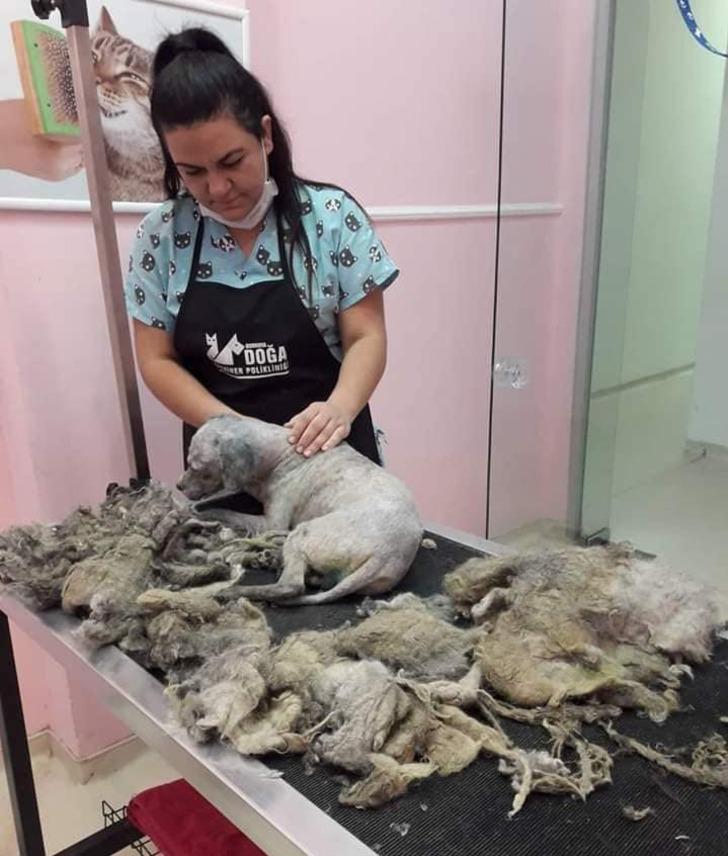 Üzerinden 4 kilo tüy çıktı! Son hali görenleri şaşırttı G4