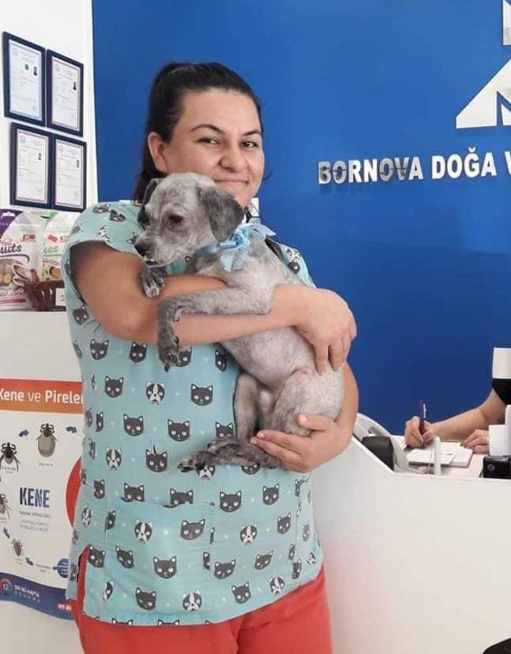 Üzerinden 4 kilo tüy çıktı! Son hali görenleri şaşırttı G5