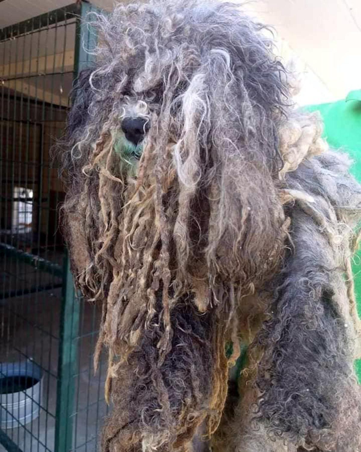 &Uuml;zerinden 4 kilo t&uuml;y &ccedil;ıktı! Son hali g&ouml;renleri şaşırttı