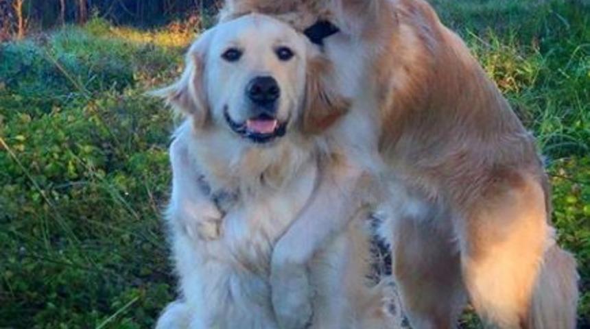 Duş lifi için birbirlerine girdiler! O anlar viral oldu