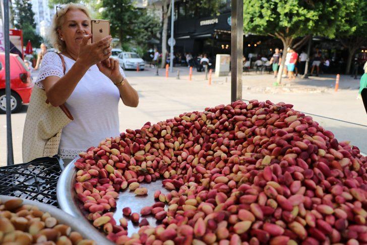 Antep fıstığı cep yakıyor! Kilosu 50 lira G5