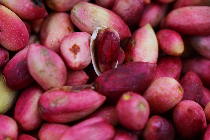 Antep fıstığı cep yakıyor! Kilosu 50 lira G3