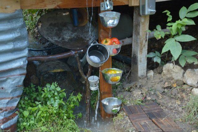 Ayı ve domuzlar onun tarlasının yanından bile geçemiyor