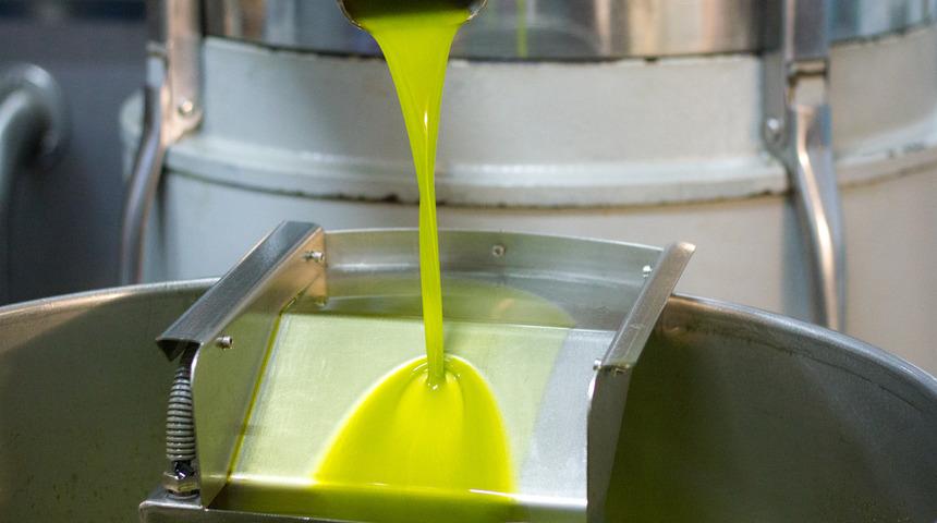 Zeytinyağı kanser riskini yüzde 50’ye yakın azaltıyor