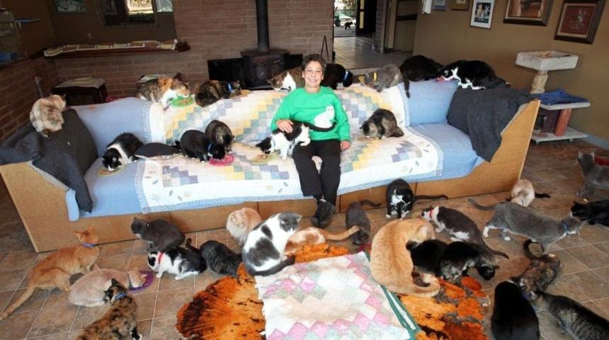 Çok sayıda kedi sahiplenmek 'kedili deli kadın' olduğunuz anlamına gelmiyor