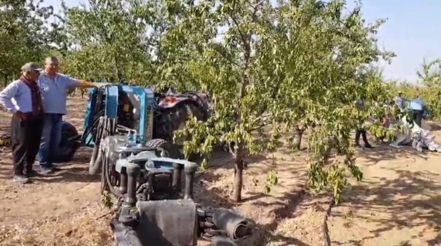 Badem hasat sezonu başladı