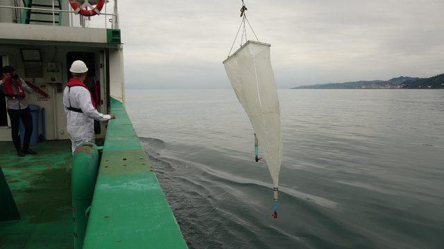 Karadeniz’de tek hücreli varlıkların sayısında artış balıkçılığı tehdit ediyor