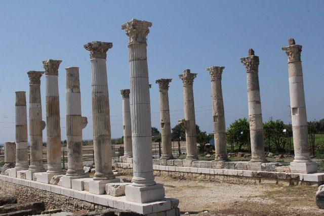 Soli Pompeiopolis 2019 kazı çalışmaları sona erdi