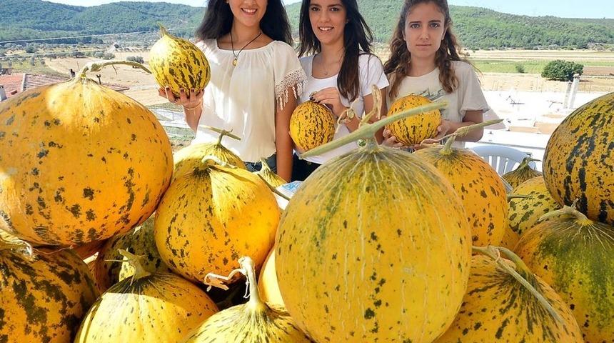 Urla&rsquo;da merakla beklenen kavun festivali başlıyor