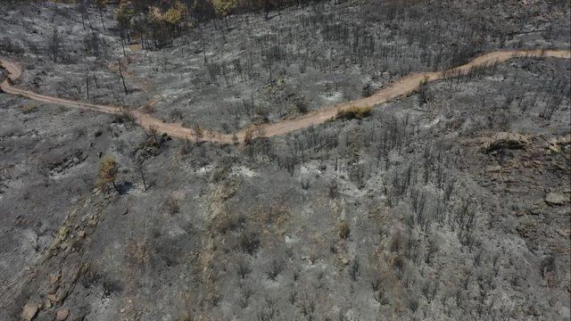 Bodrum'da yanan ormanlık bölge havadan görüntülendi