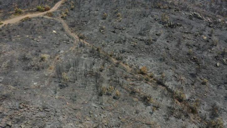 Bodrum'da yanan alan havadan görüntülendi!  G2