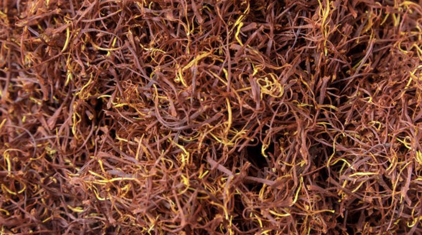 D&uuml;nyanın en pahalı bitkisi! Şifalı bitki safran beyin h&uuml;crelerini yeniliyor