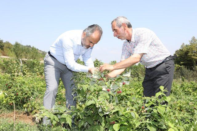 Çiftçinin alın teri dövize dönüşüyor