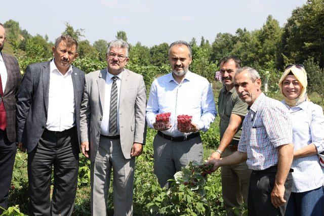 Çiftçinin alın teri dövize dönüşüyor