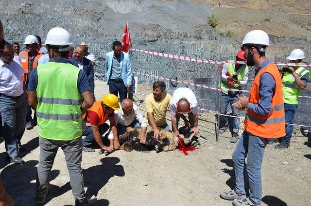 Hakkari Üniversitesinin 2. etabı başladı