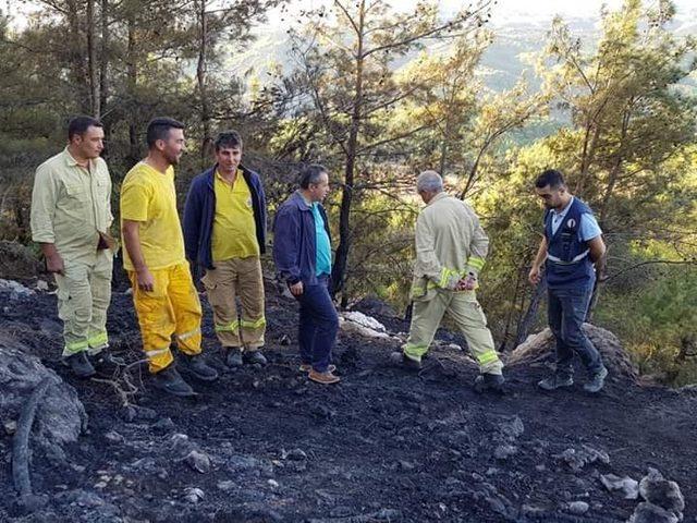 Kozan’da orman yangını