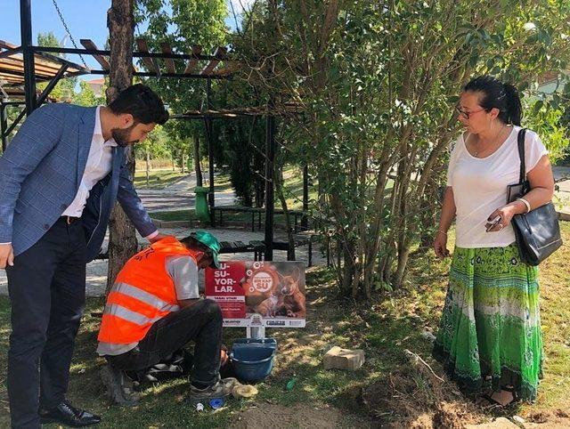 Isparta Belediyesi’nden sokak hayvanları için suluk çalışması