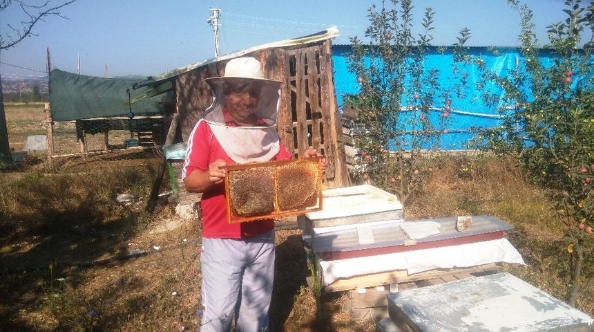 Hisarcıklı bal &uuml;reticileri y&uuml;ksek rekolte bekliyor