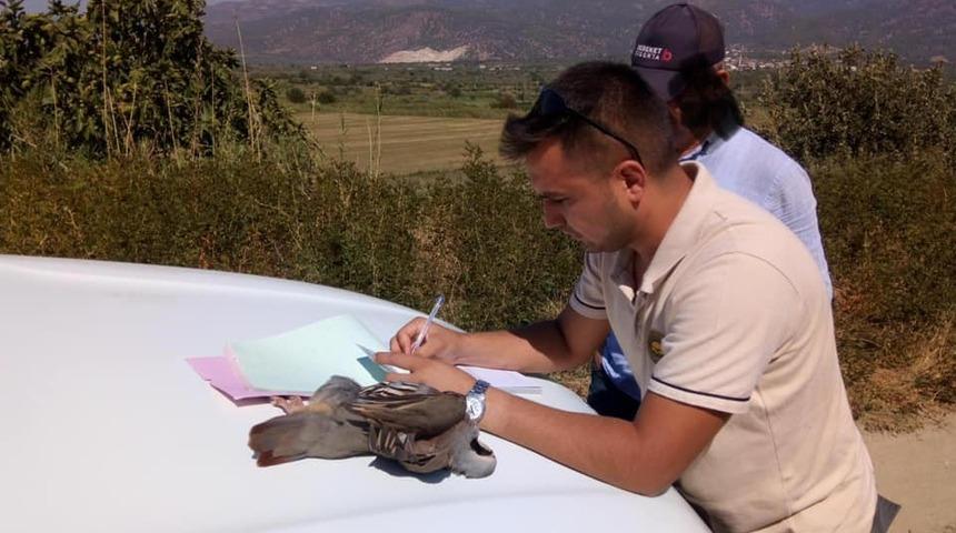 Kaçak kınalı keklik avlayan şahsa para cezası