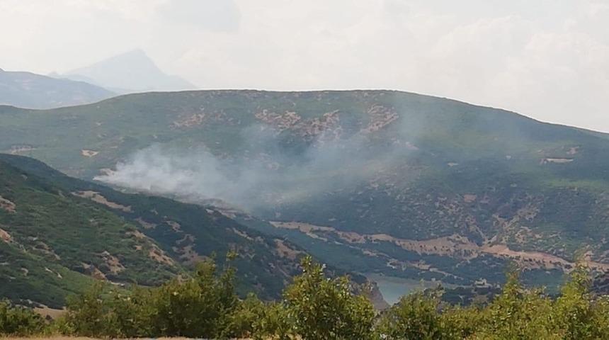 Bingöl’de orman yangını, ekipler söndürdü