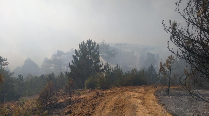 Kütahya’daki ikinci orman yangını sürüyor