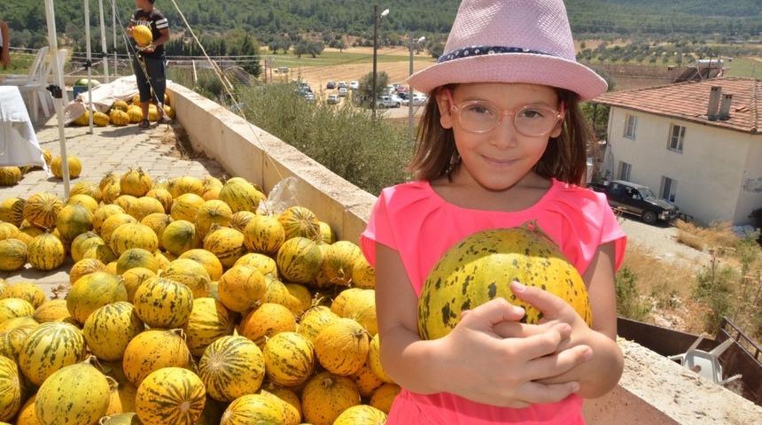 Urla "sarı kokulu" festival ile coştu