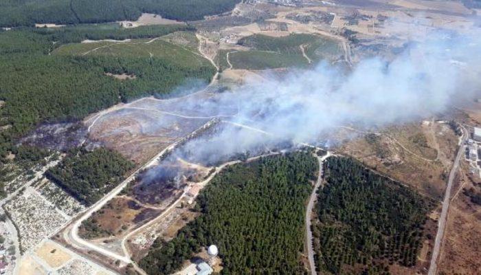 Son dakika! İzmir Gaziemir�de orman yangını trend