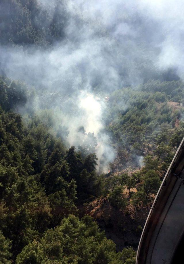 Tarsus'ta orman yangını