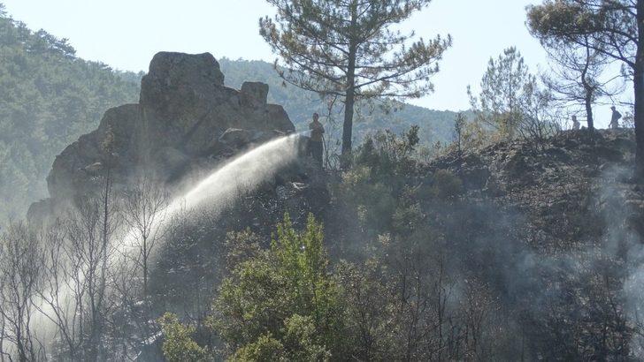 Domaniç’te orman yangını G2