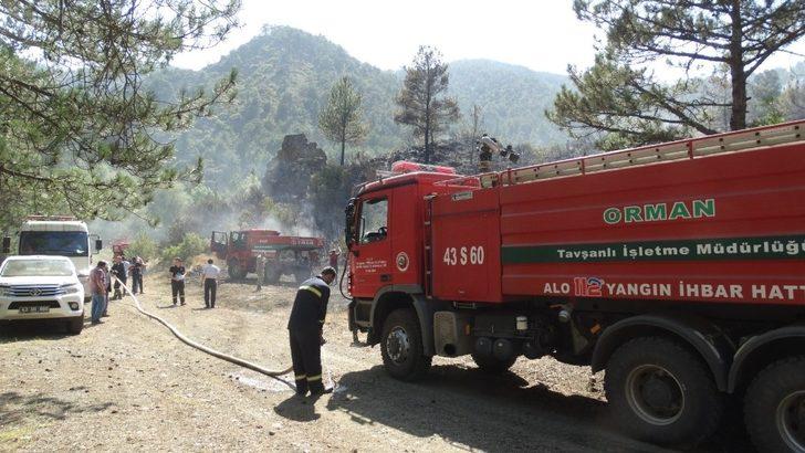 Domaniç’te orman yangını G3