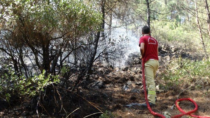 Domaniç’te orman yangını G4