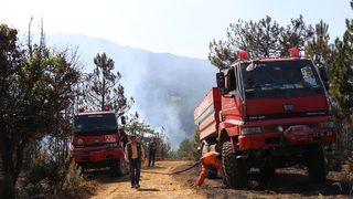 GÜNCELLEME - Kütahya'da orman yangını