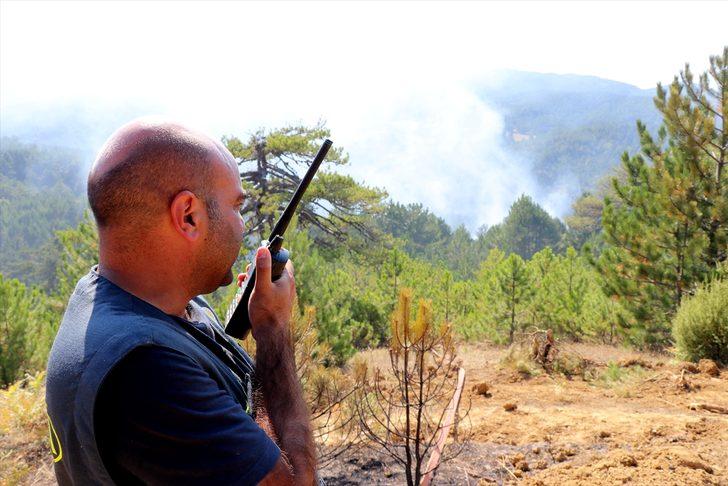 GÜNCELLEME - Kütahya'da orman yangını G4