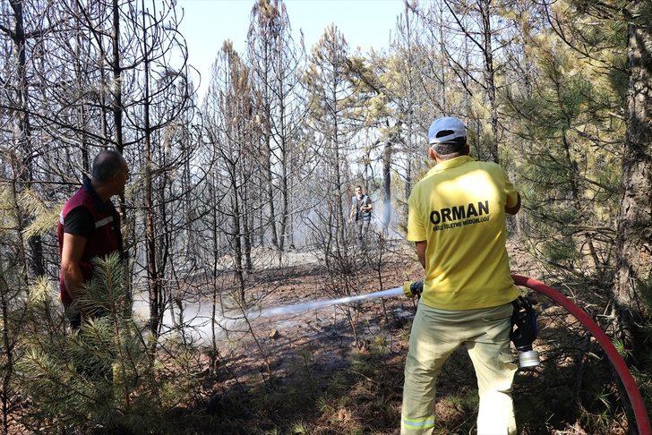 GÜNCELLEME - Kütahya'da orman yangını G5