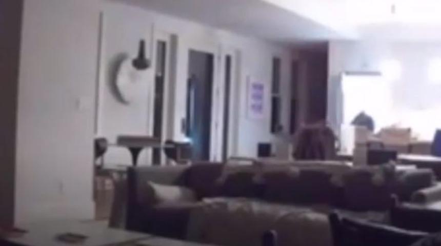 Buzdolabının a&ccedil;ıldığını duydular! İ&ccedil;eri koşunca dehşet anları başladı