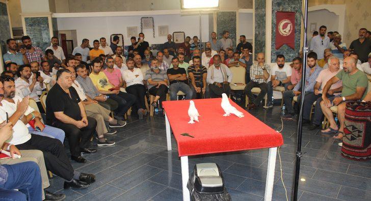 Adıyaman'da 'Şebap' güvercinlerine yoğun ilgi!  G2