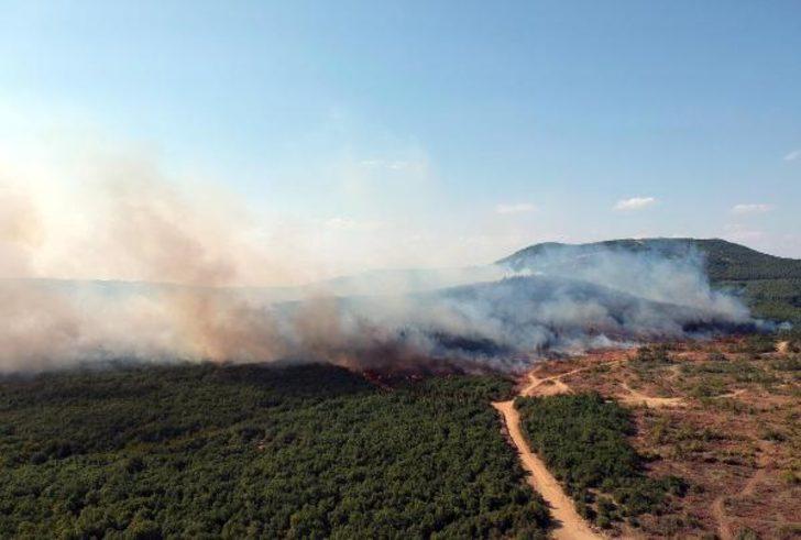 Bakan Pakdemirli Edirne'deki yangının kontrol altına alındığını açıkladı G2