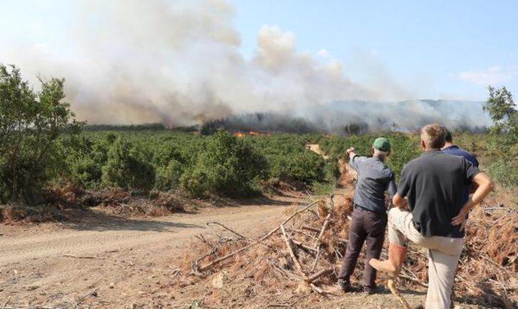 Bakan Pakdemirli Edirne'deki yangının kontrol altına alındığını açıkladı G4