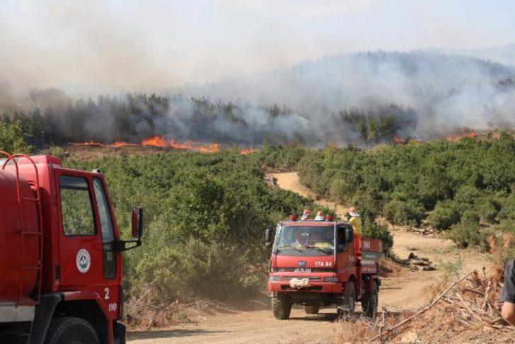 Bakan Pakdemirli Edirne'deki yangının kontrol altına alındığını açıkladı G5