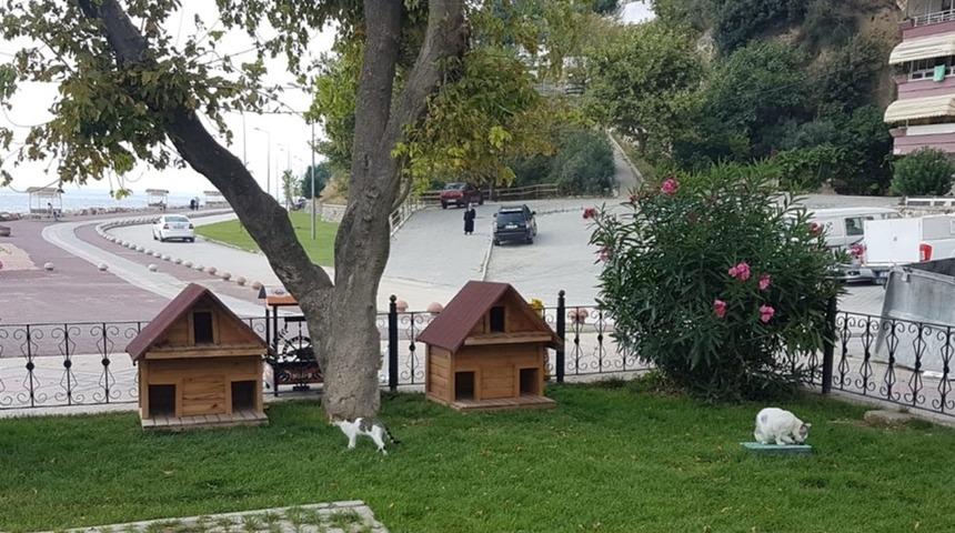 Kedi evleri Gemlik Belediyesi&rsquo;nden
