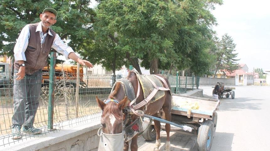 Ağrı’da at arabacılarının zorlu ekmek mücadelesi