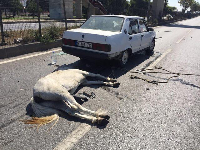 Yüzlerce kiloluk atlar kazanın etkisiyle böyle havaya uçtu