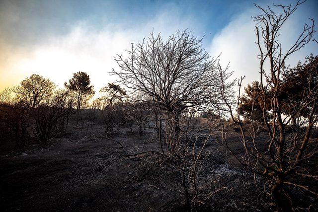 İzmir Büyükşehir Belediyesi'nden orman yangını açıklaması