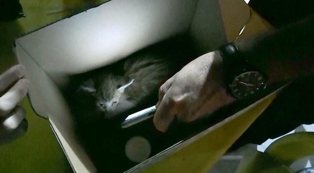 Otomobilin motor bölümünde mahsur kalan yavru kedi kurtarıldı